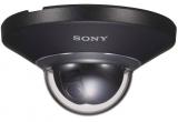 Camera Dome IP SONY SNC-DH110T
